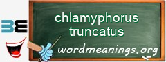 WordMeaning blackboard for chlamyphorus truncatus